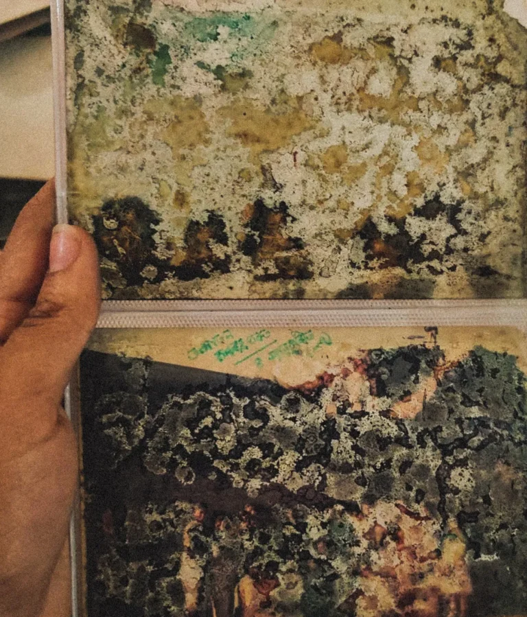 Coping with the givens of adulthood: A pandemic in my 20’s (Part II)